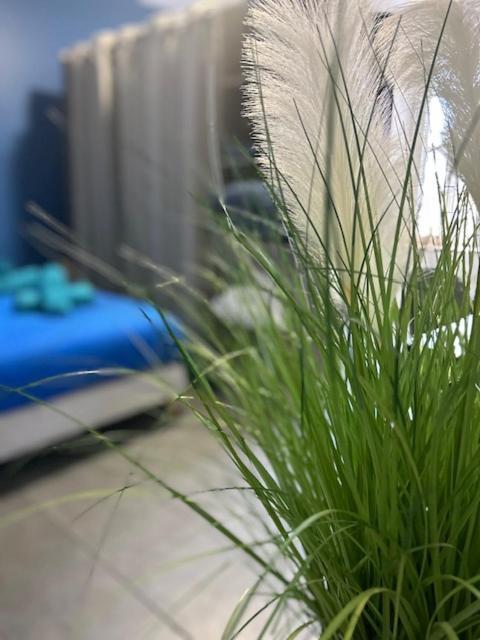 Apartmán Atelier Voyageur Chartres Exteriér fotografie